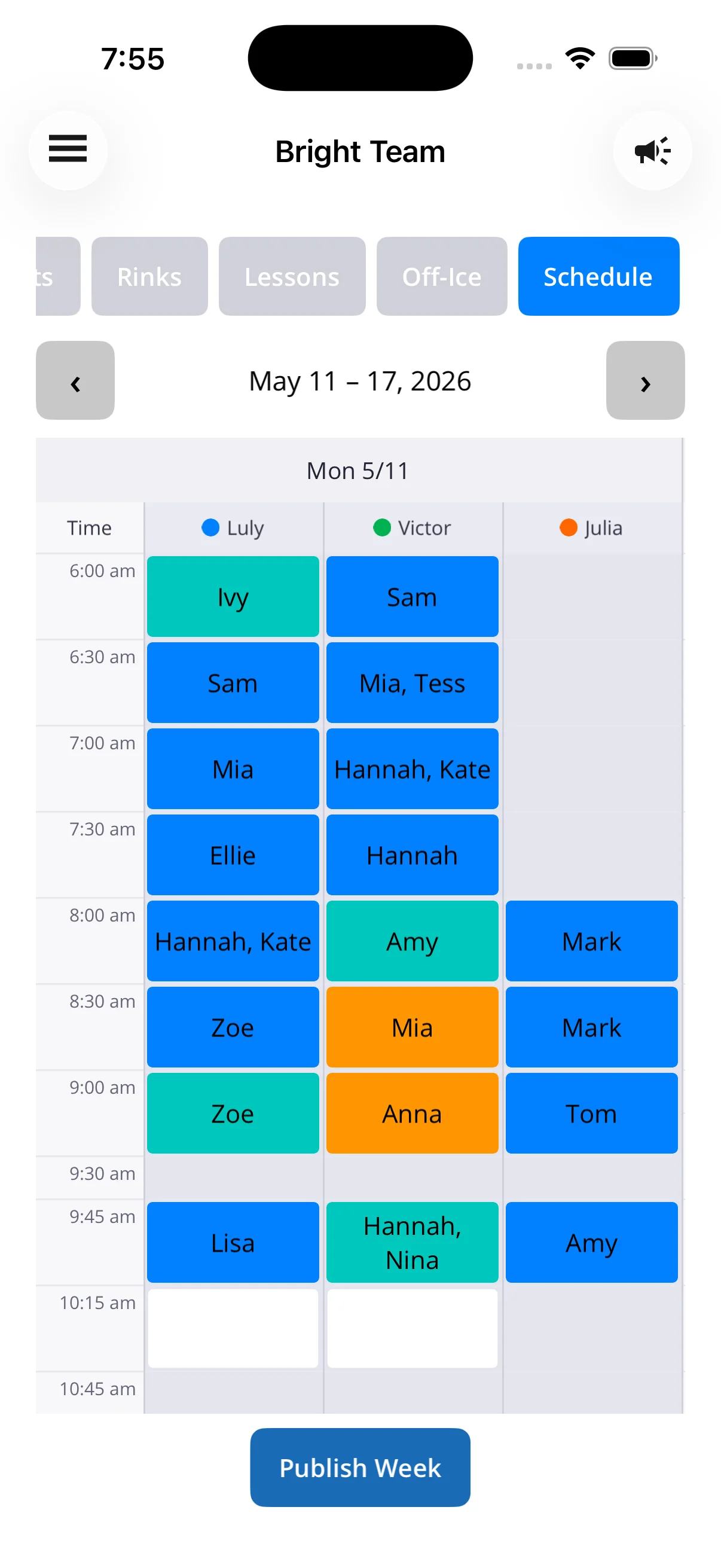IcePlan team week grid